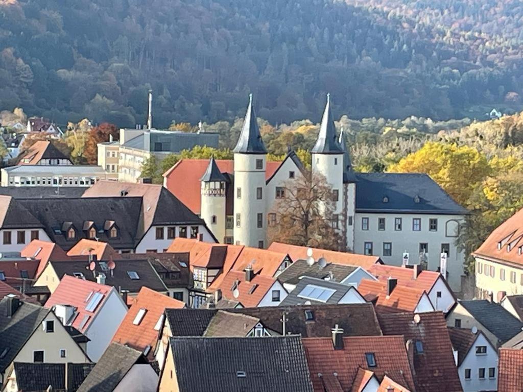 Wohnen Im Springerhof Apartment Lohr am Main Luaran gambar