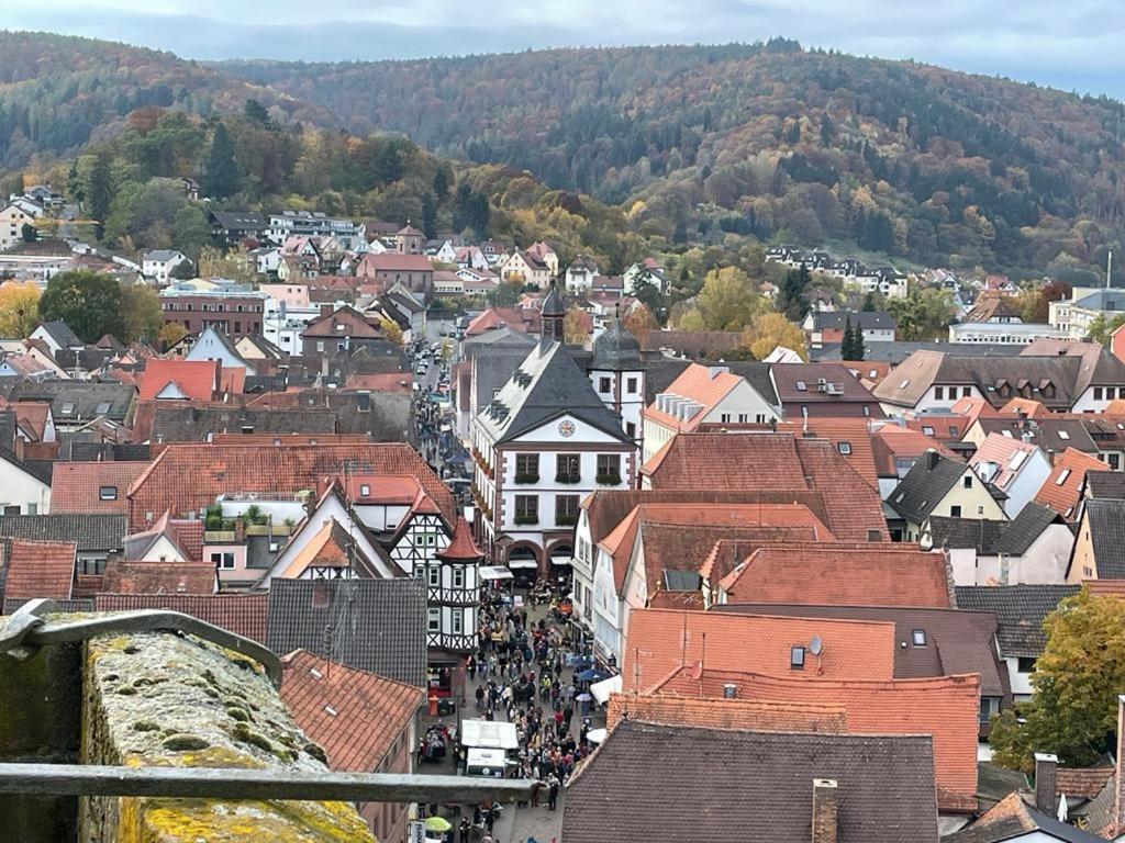 Wohnen Im Springerhof Apartment Lohr am Main Luaran gambar
