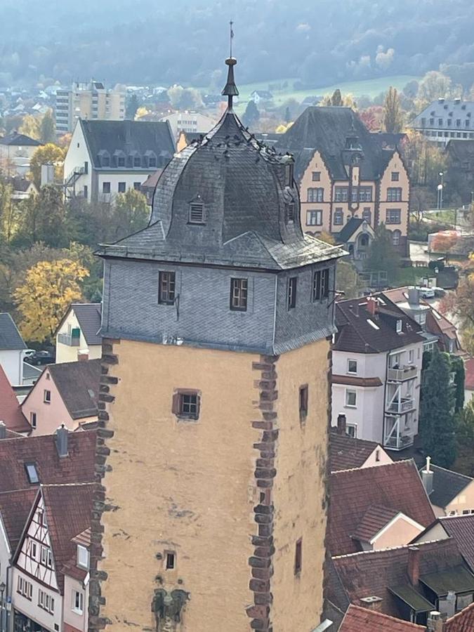 Wohnen Im Springerhof Apartment Lohr am Main Luaran gambar